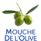 Mouche de l olive